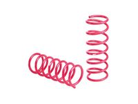 Subaru Adjustable Struts and Springs - B2010FG100